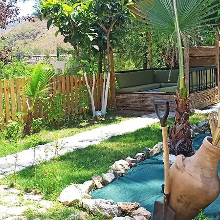 Swiss Eviniz (adults Only) אדראסן